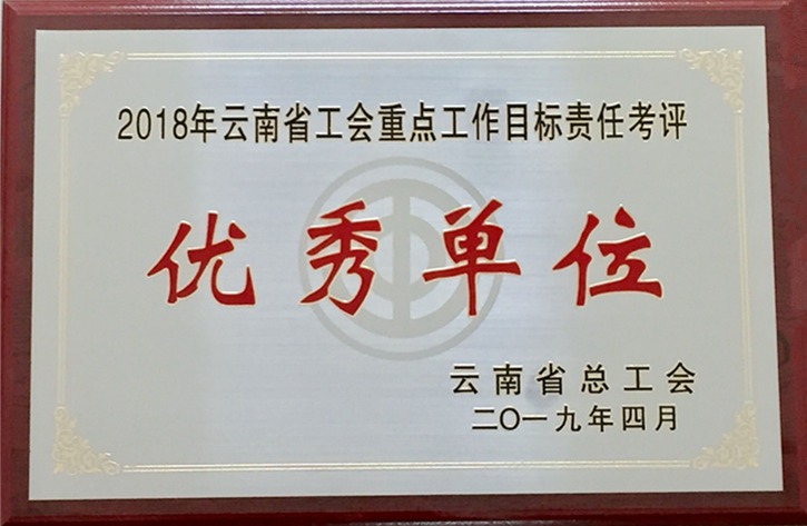云南亿万先生MR集团工会荣获 “2018年度云南省工会沉点工作指标责任考评优良单元”