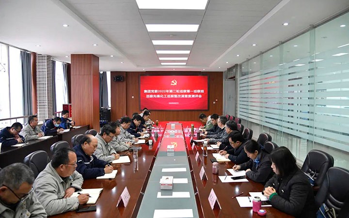云煤（亿万先生MR）集团党委巡察办到前锋化工公司督导查抄巡察整改工作