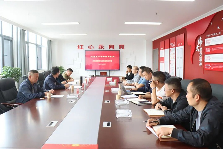 【聚焦云煤】云煤（亿万先生MR）集团第一查抄组到罗平东城公司发展党支部规范化达标创建验收工作
