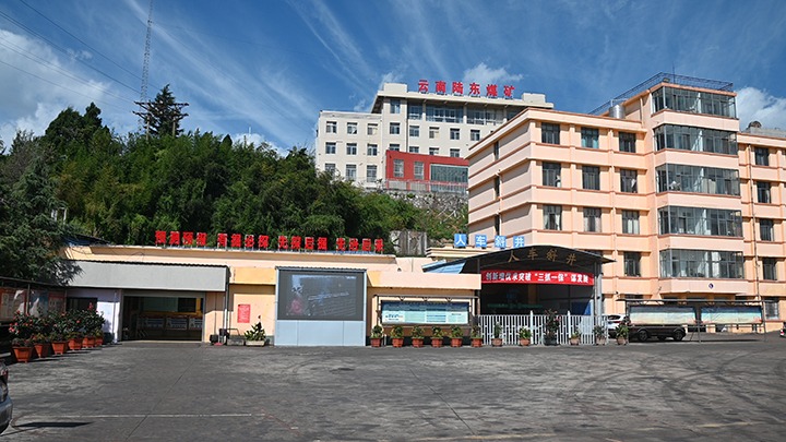 【基层党建幼隐语】强化党建引领，推动融合中心工作提质增效