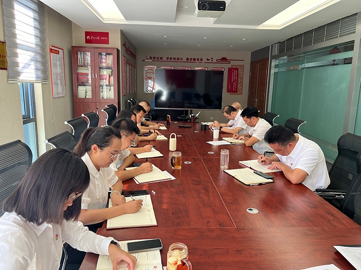 亿万先生MR地产党支部发展“凝心聚力促鼎新，安身岗位做贡献”主题党日活动